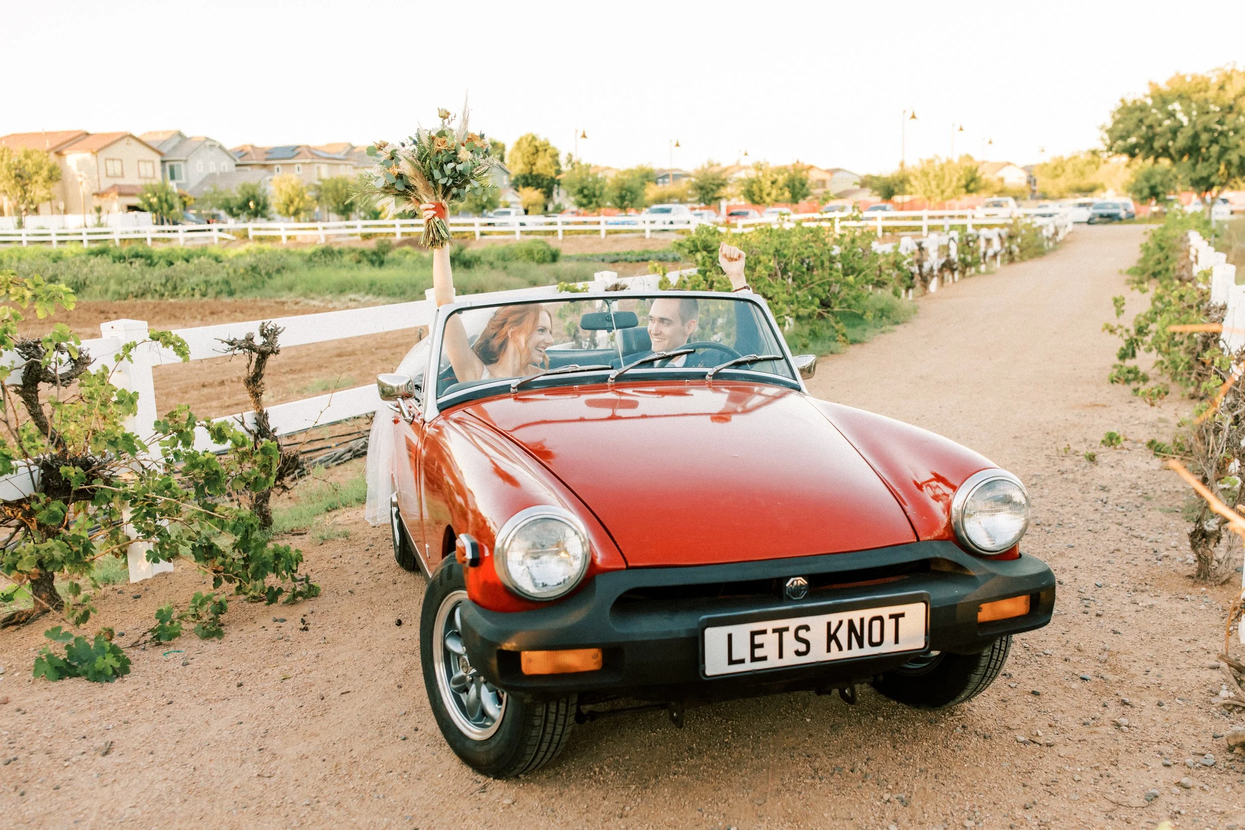  Photographer |   Paige Lorin Photography   