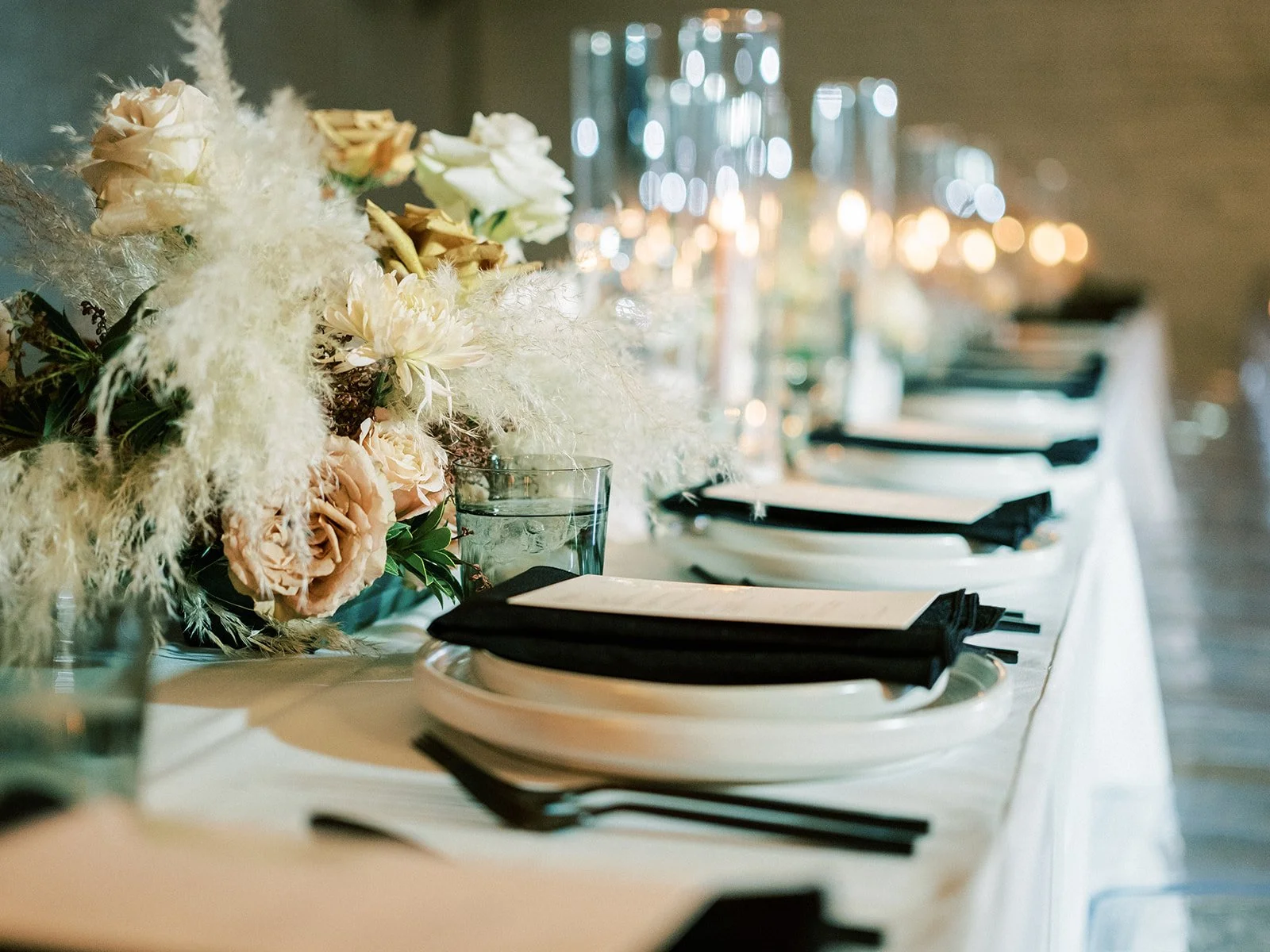  Photographer |   Rachel Solomon   