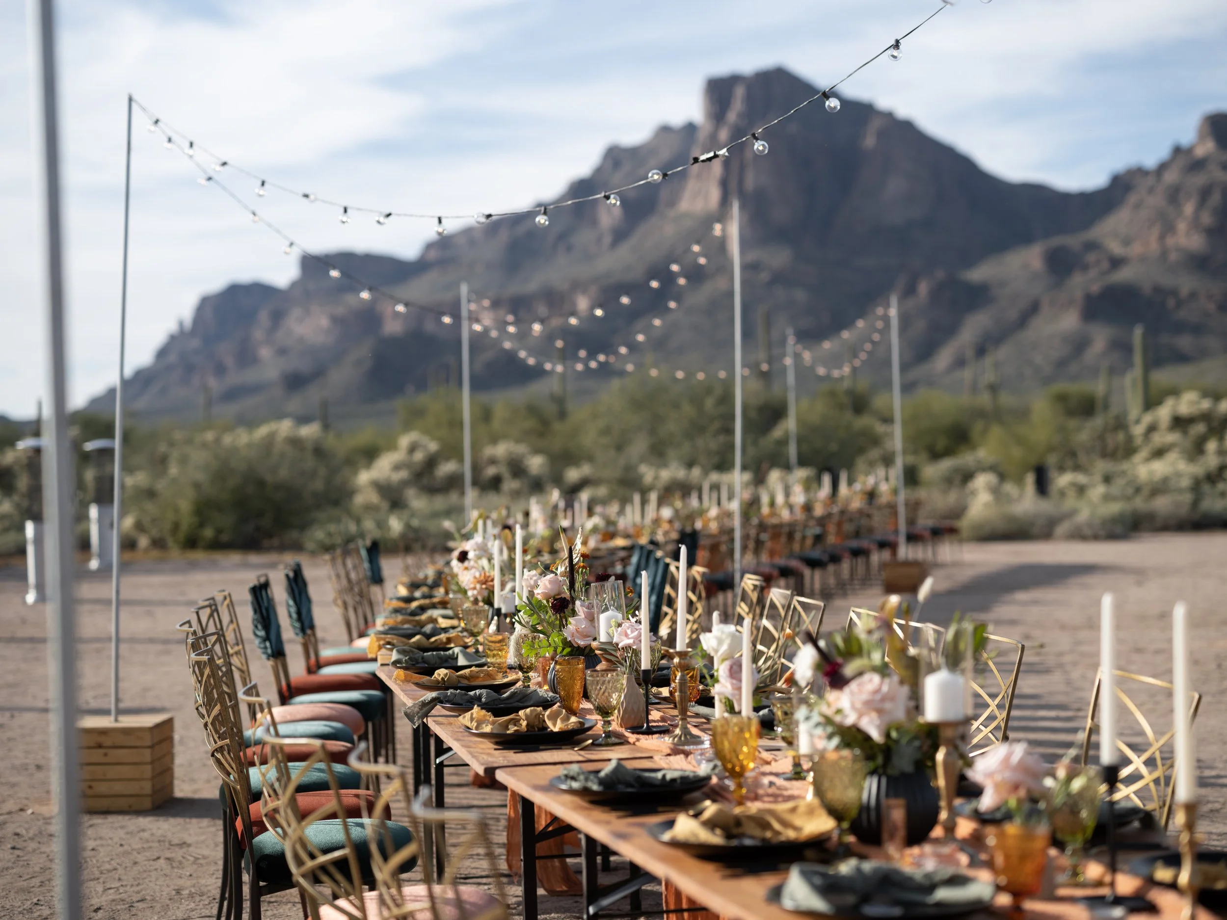  Photographer |   Tyler Rye   