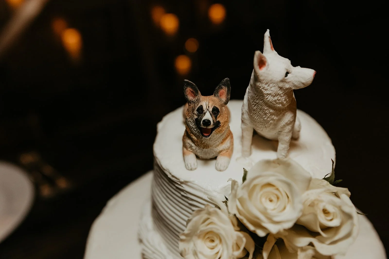  Photographer |   Lacie Photography   