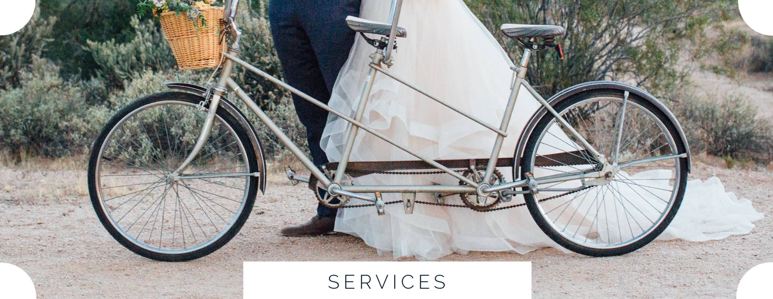  This could be a section promoting anything about your business, services, etc. You could also highlight two clickable links below to view more. 